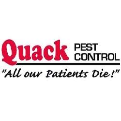 Photo: Quack Pest Control Photo: Quack Pest Control